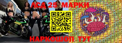шишки Новокубанск