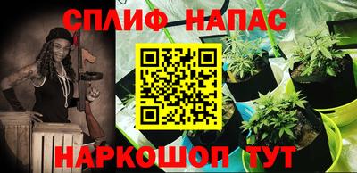 шишки Новокубанск